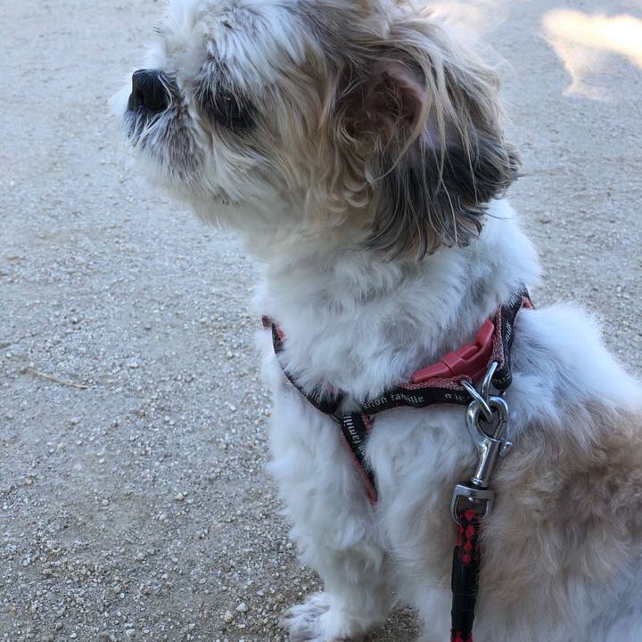 F82f6de4 24ad 4f88 b8ee d4a3d0e7cb1c 1627681434355