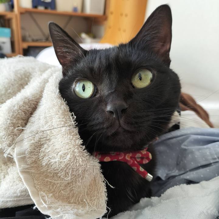 F82f964d ac90 4a75 839f ff0300fe84c4 1642813307276