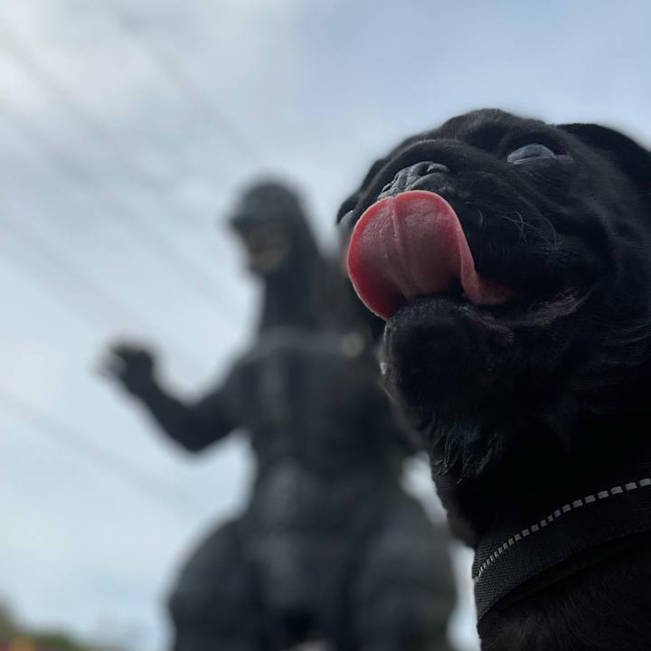 F82f96af 39f2 43ad adf7 e89a8977184f 1617502265157