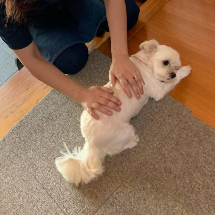 F830027d 8fe4 42ba a548 a417a8cc3685 1600166547331