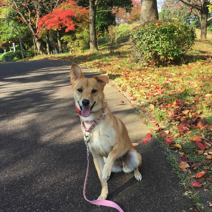 F8301528 0564 4cf6 bbbb 34bbc86f7328 1510024174425