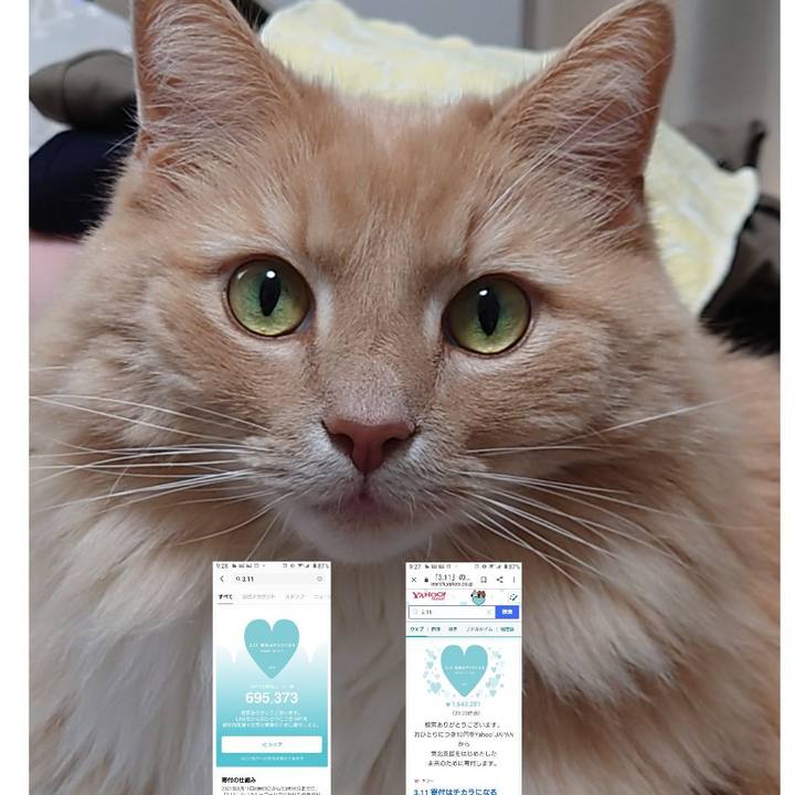 F83038ad 5a2f 4afd b1c3 50f46f993e6b 1615458177864