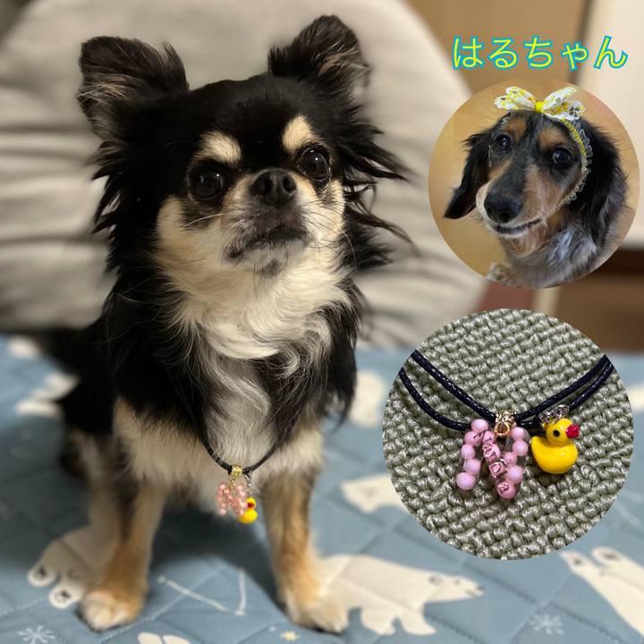 F830532b 9db5 4315 b52f daf3f08123b3 1686217431078