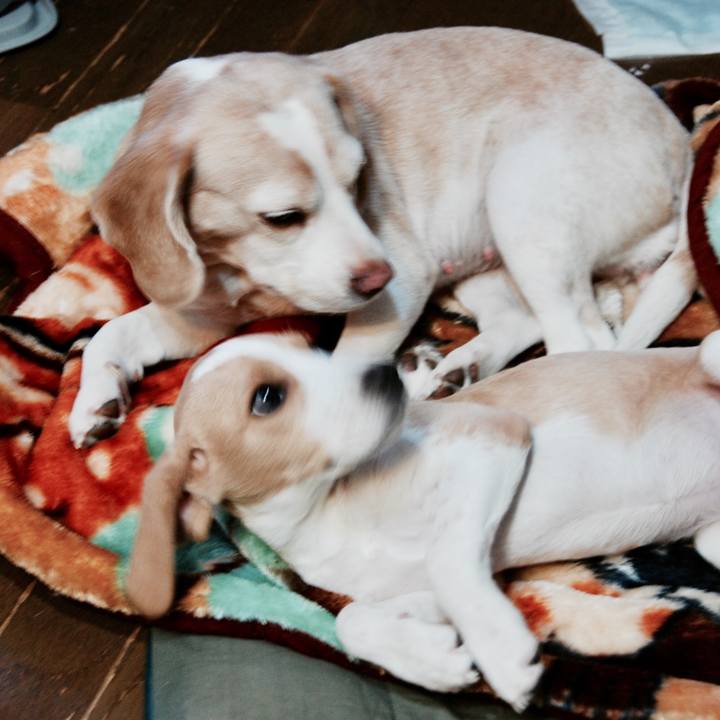 F8305a58 06b4 46d8 9926 0780bc3773b6 1689460211847