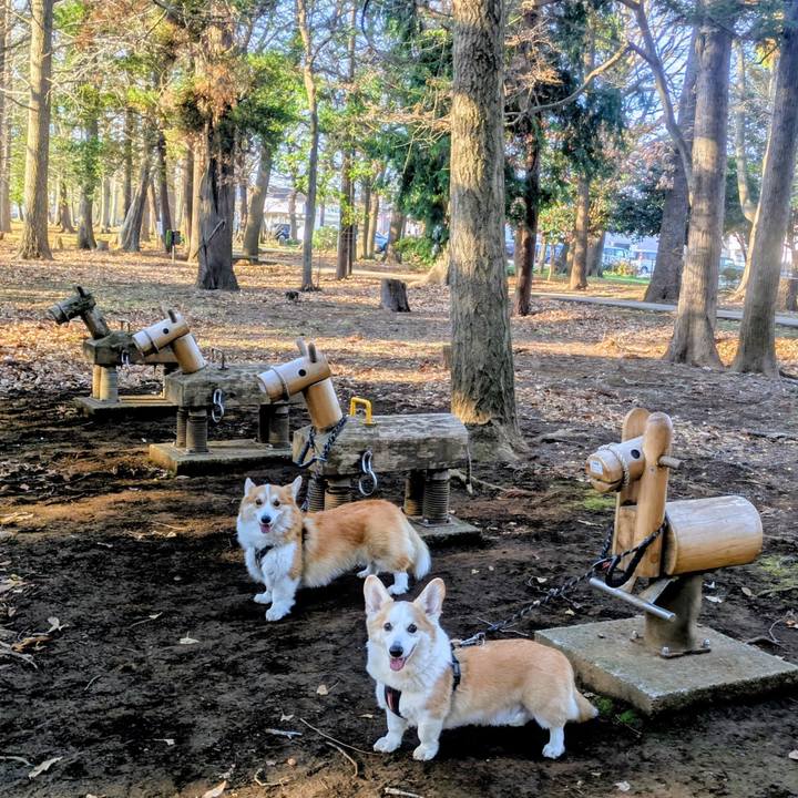 F830aae1 c221 44ff 8628 9ec40ebf57fe 1767250481636