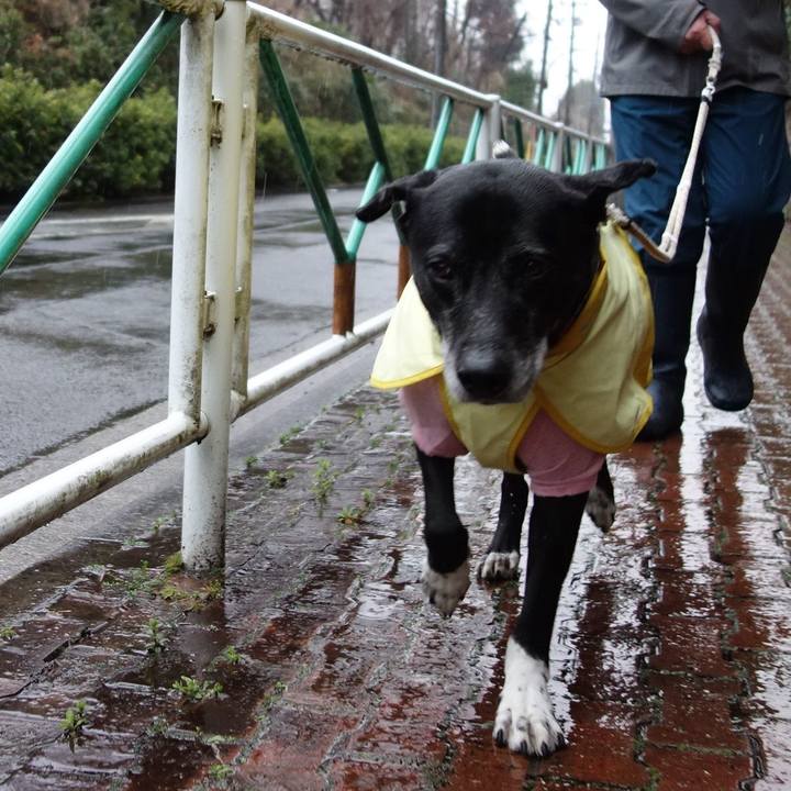 F830d53d 3293 45cd 8303 70632345a7e7 1742084093352