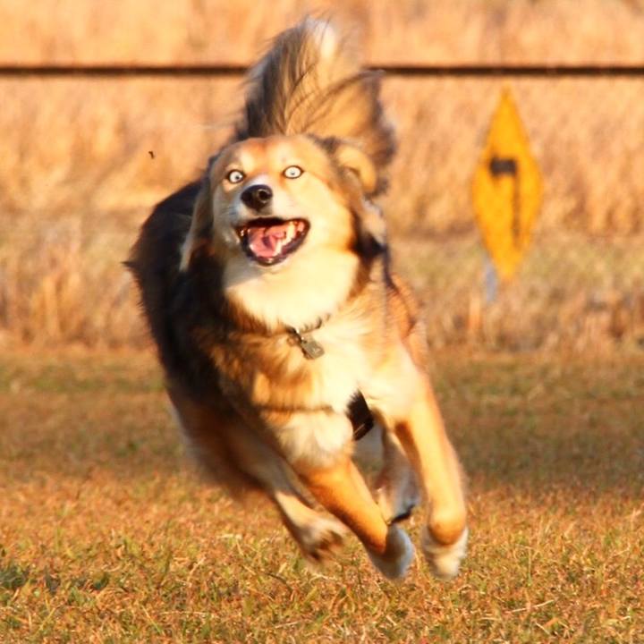 F830d5e3 3e3c 4a45 9952 1746d9f4e1c7 1595777891580