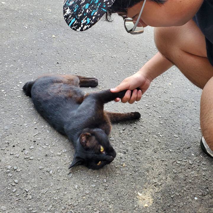 F830d8b2 db07 4f42 820c 1c48d76d87ec 1696338443805