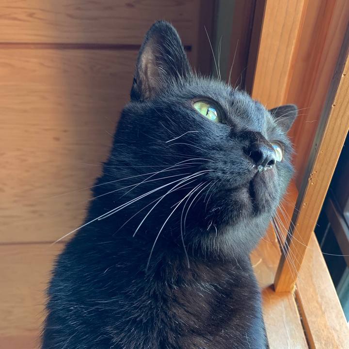 F830de93 83d4 4d10 8f65 8112e01385cd 1569631614782