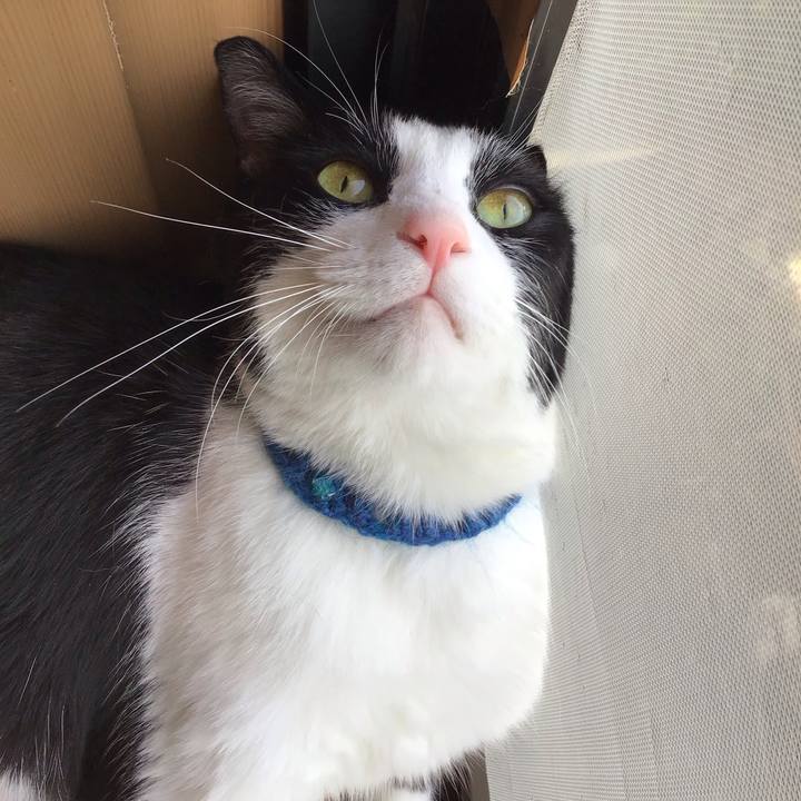 F830e7a5 d017 458a ba6d dcdd6e2b3552 1749972767613