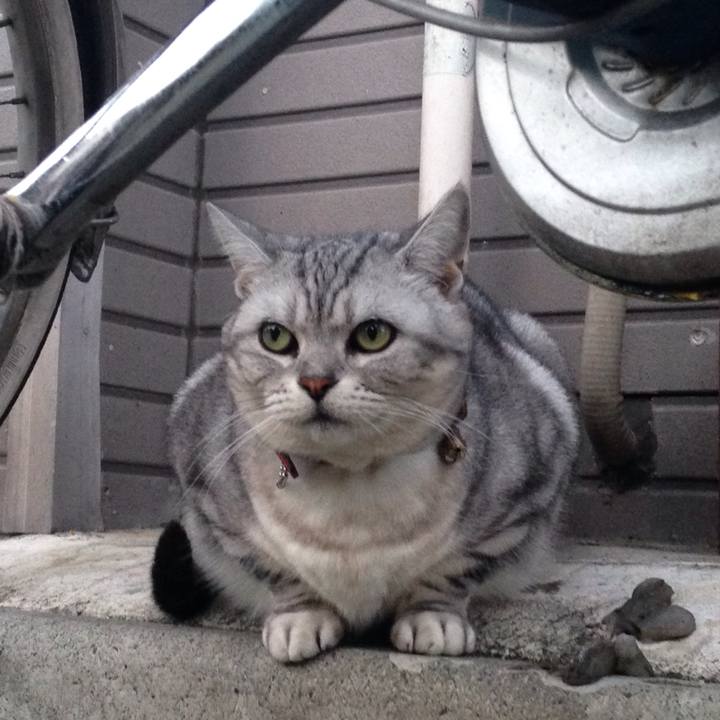 F8314dc9 6d0c 46dd 8186 d4e4d92d15d9 1509719462621