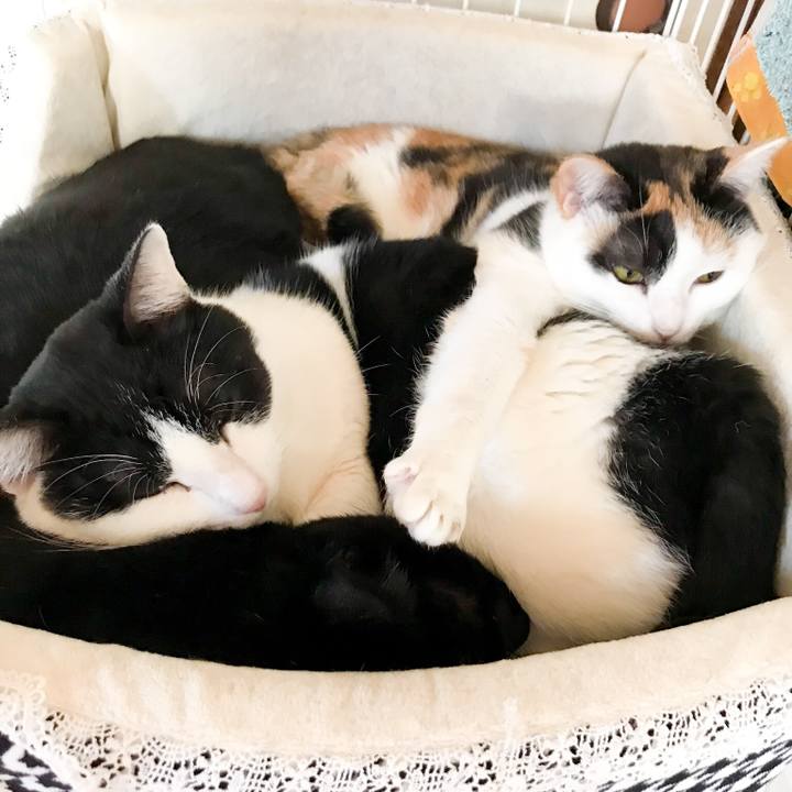 F8315f8a c82e 4649 af73 83332ef4c36e 1518568271246