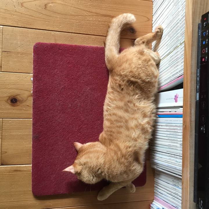 F8316172 ebb0 40ba 884e 9150ce7e5e99 1532249651970