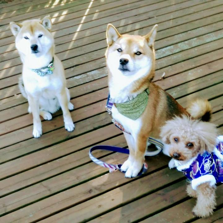 F83176d4 9c23 4a78 b2f2 39dd6ecce3e1 1514359903377