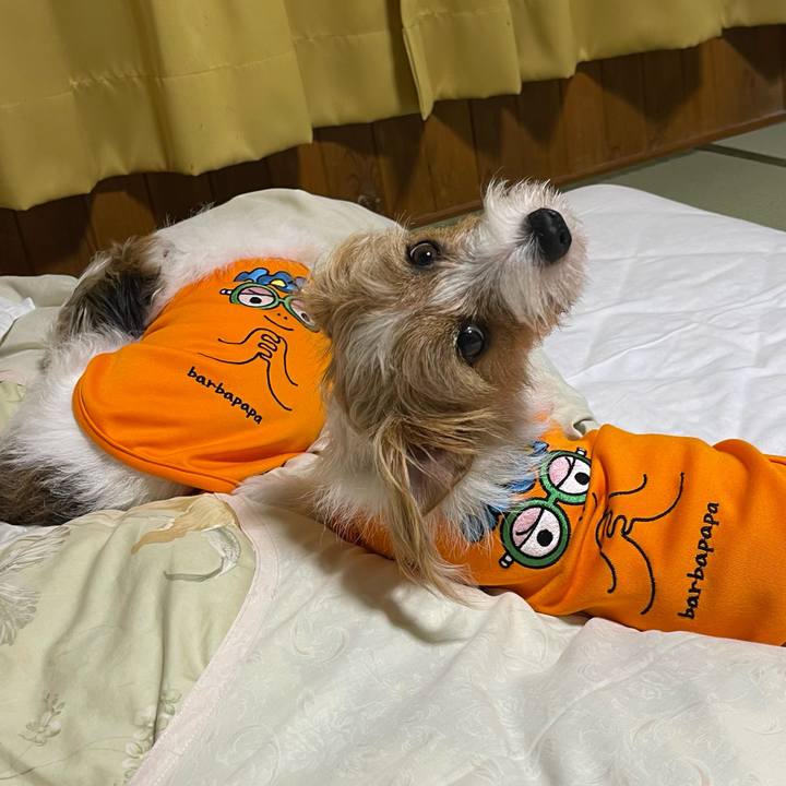 F831869e 07d9 49bb adc9 313959279eff 1759025051604