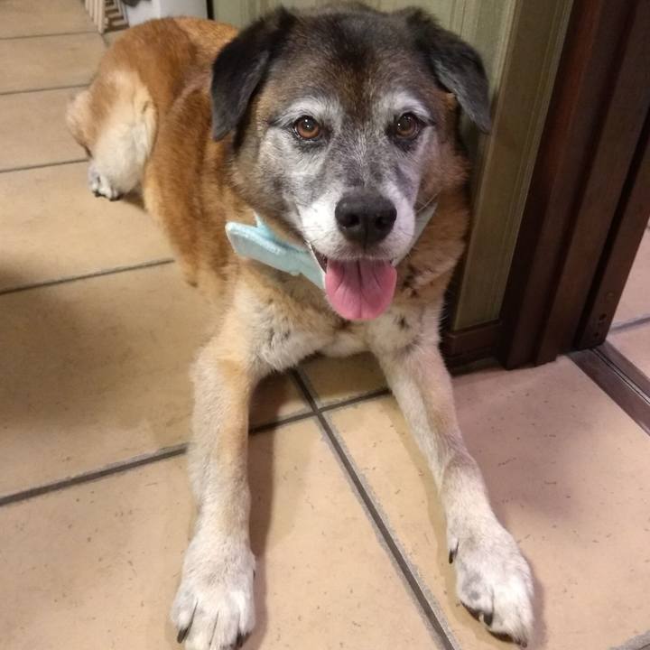 F831f27d de28 42f9 830b 7601784eeae8 1564224010930