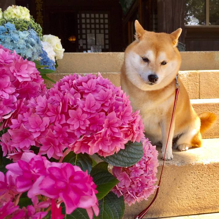 F831f3e6 7d95 4fee 9ffd 882e70e40b61 1560672421218