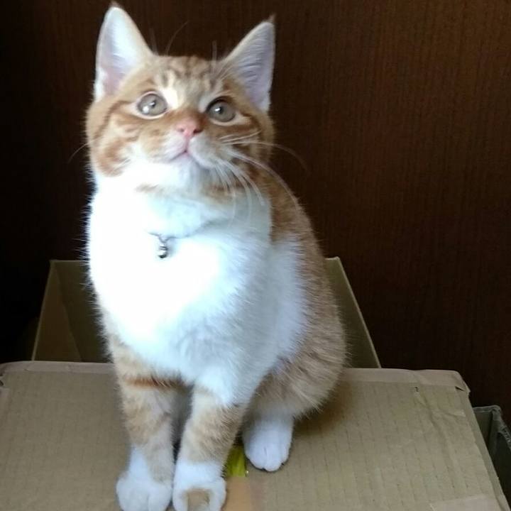 F831f9bf 8aaf 435e 9dae 7effd1c486e7 1578521932124