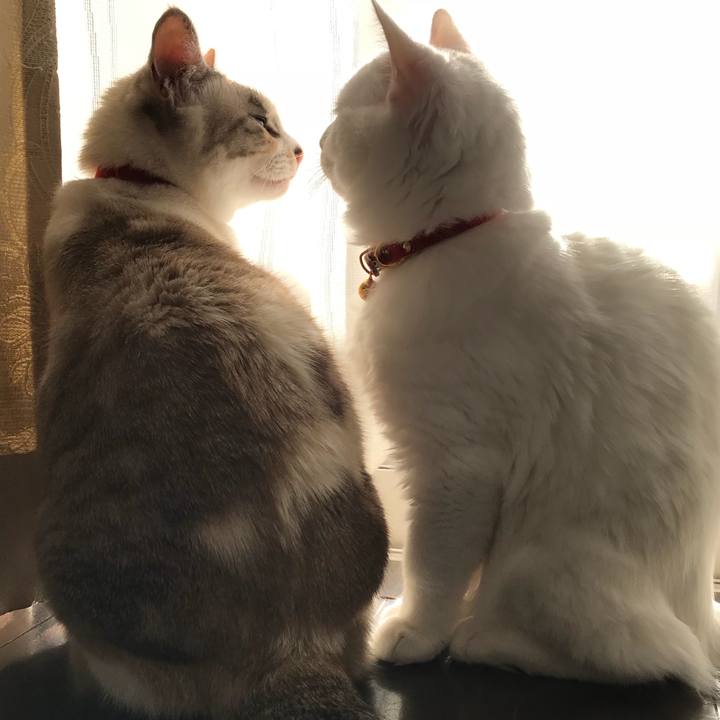 F832508a a50b 4a8a 9915 9664cc8a4f16 1514973418953