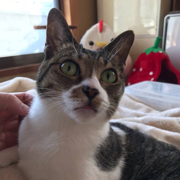 F8329911 ee51 45dd b943 94c09c49e9ec 1514855073831