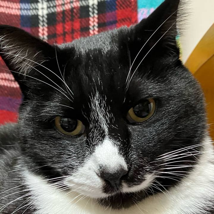 F832ad7e 60b3 4aaf 8860 8d3f3ce09207 1742277828330