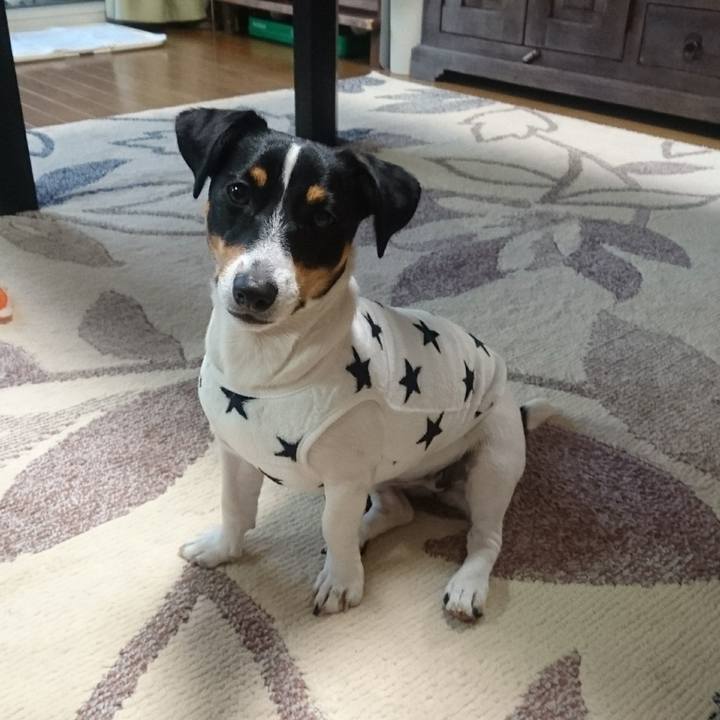 F833063f 213e 4ae4 90e7 27b9b485feb8 1544689989313