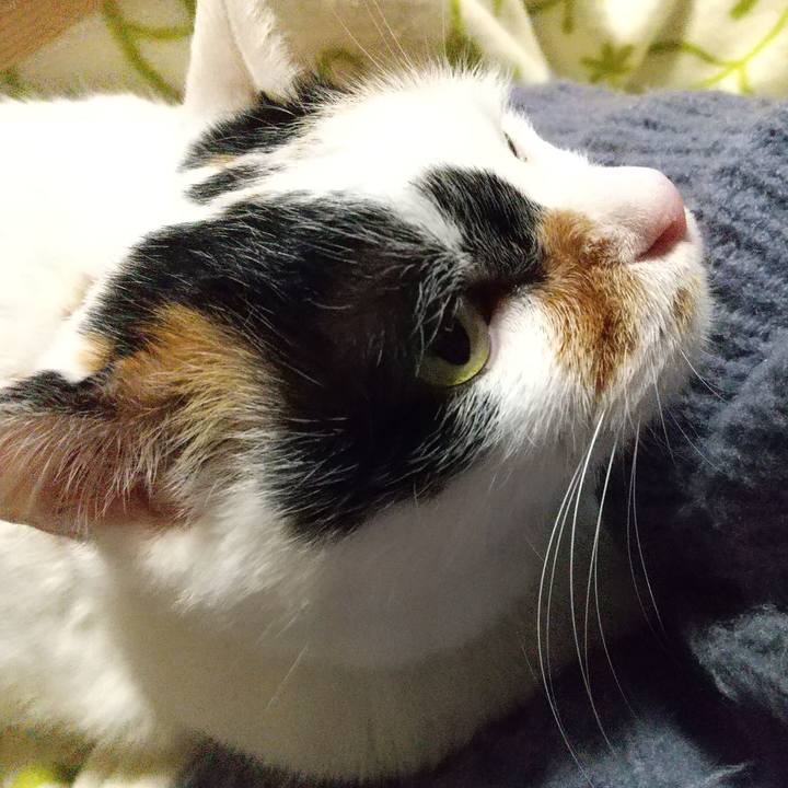 F8330fbd 8cfb 4ad1 b8f1 8da45cb49365 1672830761383