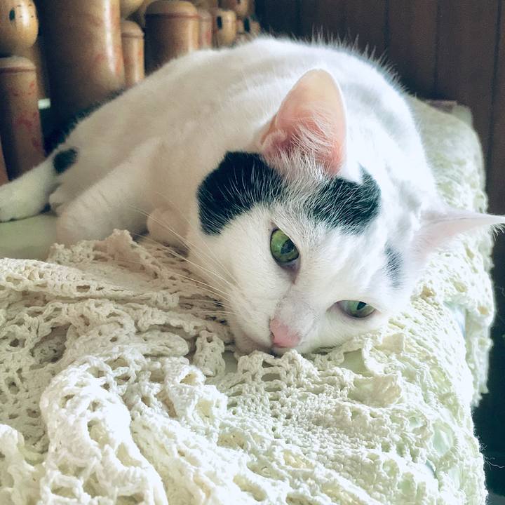 F8331787 b3b7 4a5f 908d b21d6662537f 1601003507288