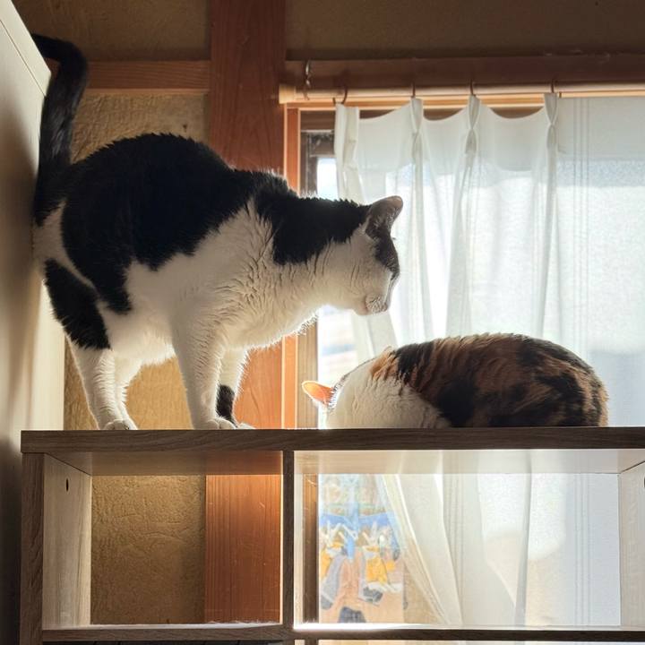 F8333861 9368 4ab6 a2bf 7ab618d6cc8d 1769735037133