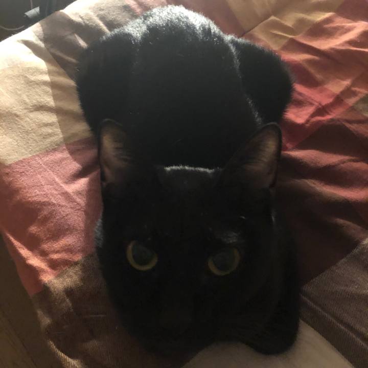 F8334533 5352 4efc b82c b18921dd27ac 1668261550379