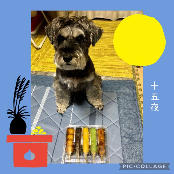 F83345b9 4213 47cd 91ed 3fcd0cbeb4de 1662814747511