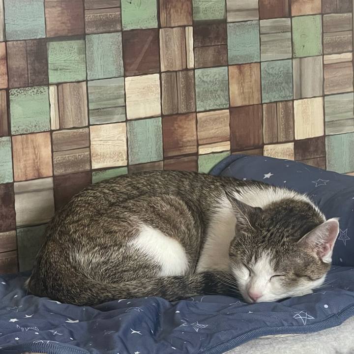 F8334669 5d6b 4d52 8858 30cd491cc2ed 1635306143624