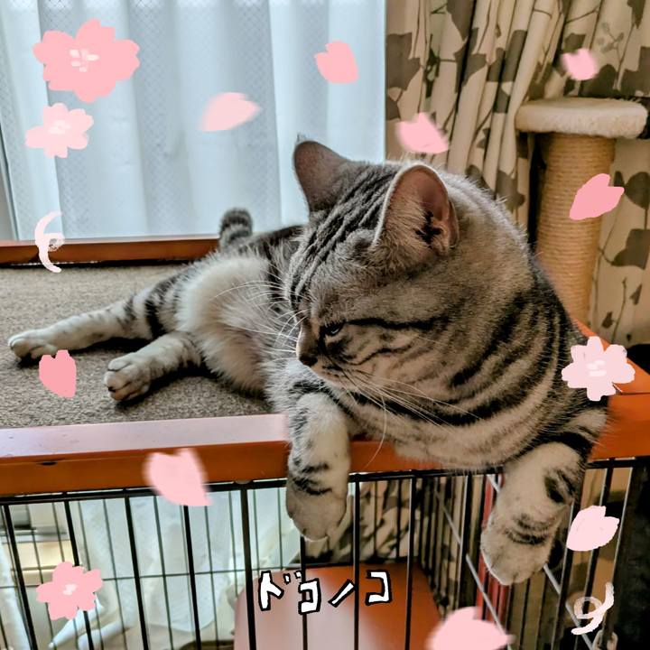 F83372c0 11bf 4a14 92d3 a8e01ec3cf9f 1744757701430