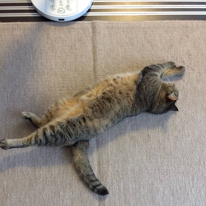 F8337b2d ee84 46c1 bf0d c91b1b8267c0 1591915130192