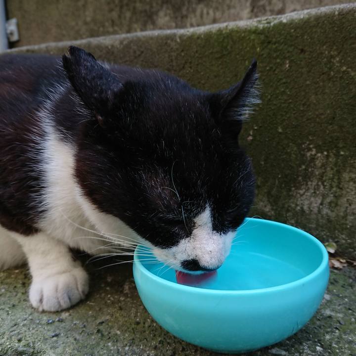 F833837a 28e3 47a1 95aa b8b17a4813ba 1690259966293