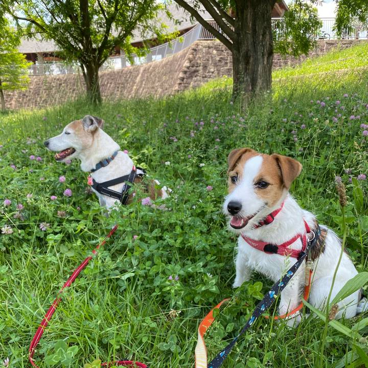 F8338b40 cf04 4eec a703 9c02aeb4f132 1621752363284