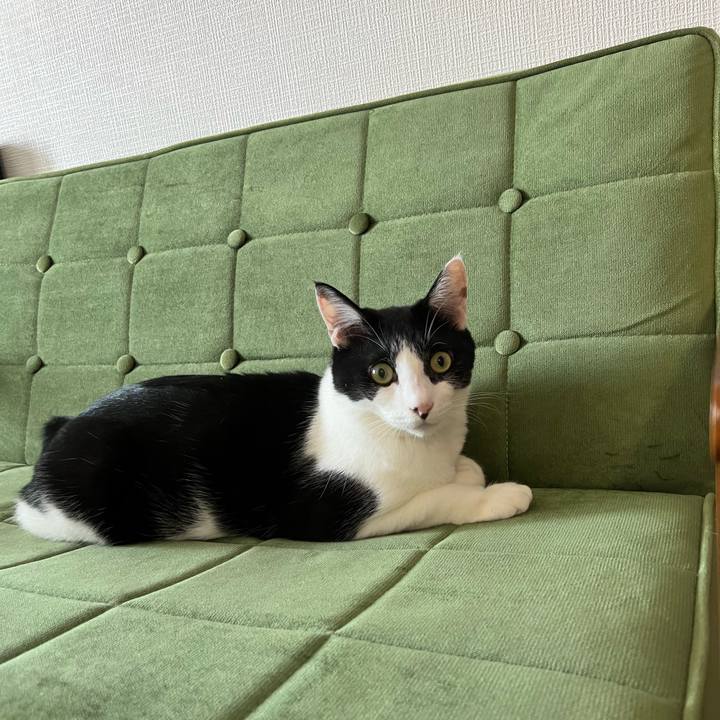 F83392ca 4f0a 4eaa b44b 4cb910f24e9f 1724495518119