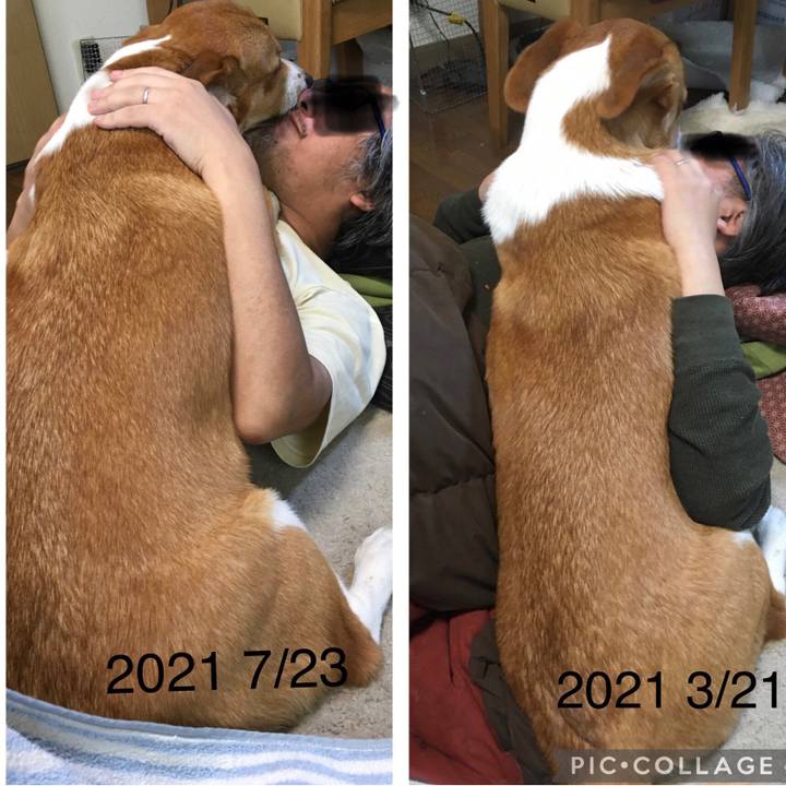 F833a8b8 f5d2 41a3 9d69 55ae7352f35b 1626924717055