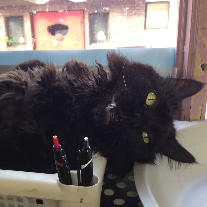 F833bb8f 67a9 4f7f a6cd ff259ee97b30 1508469278797