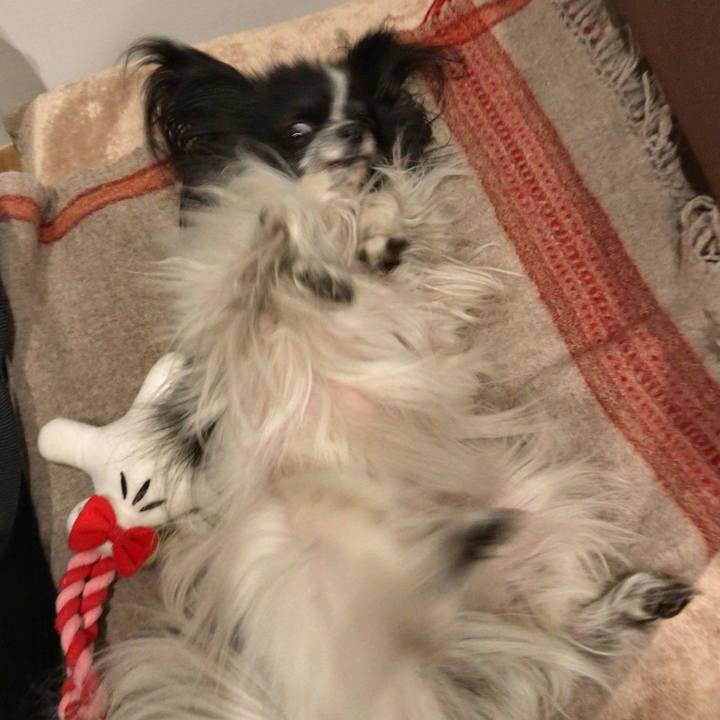 F833c588 7c32 43ed a4dd fc33f30bef08 1548249449957