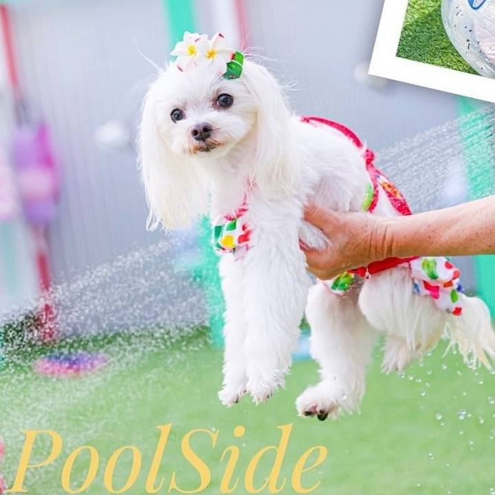 F834134a 8e0c 4b0a 9f72 b88d6dba2e3a 1721714941422