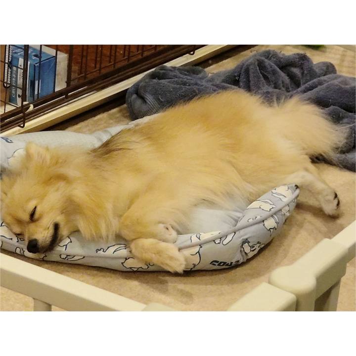 F834423b 1c19 4f6d 8ba0 9c17852d4898 1757543577657