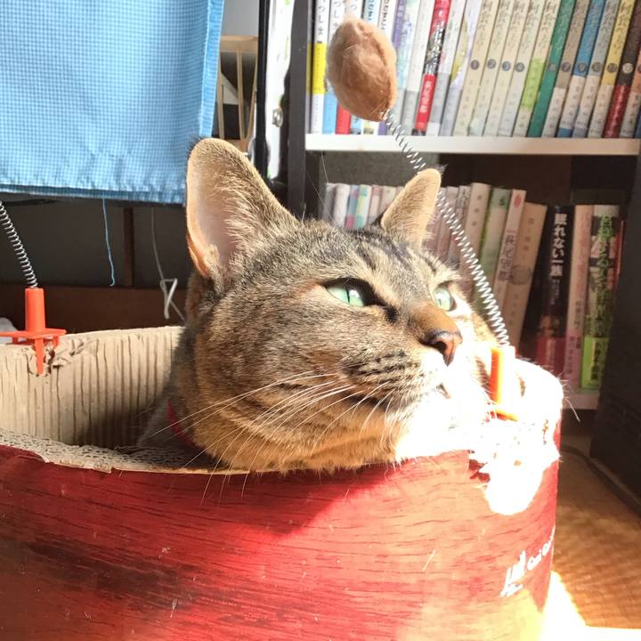 F834b22a 7cdc 4f0b bae7 3daeefdc58b1 1680656494932