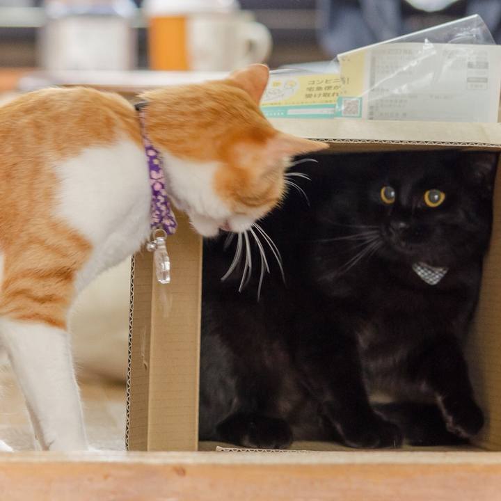 F834bf5d 6fb0 4422 95fe 226aa09e6778 1525474133900