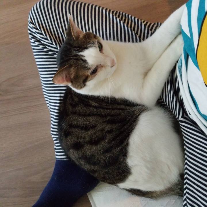 F8351a0c ce68 468c 81f8 ca2e4b2ac175 1557951855120