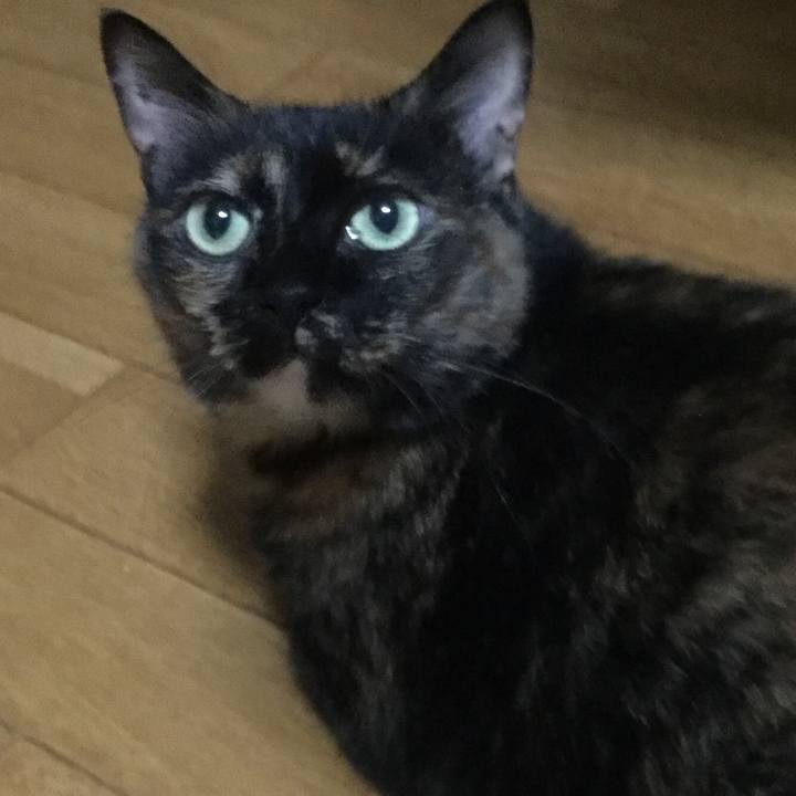 F8353499 7ab7 469f bba5 964b3429b769 1564660876968