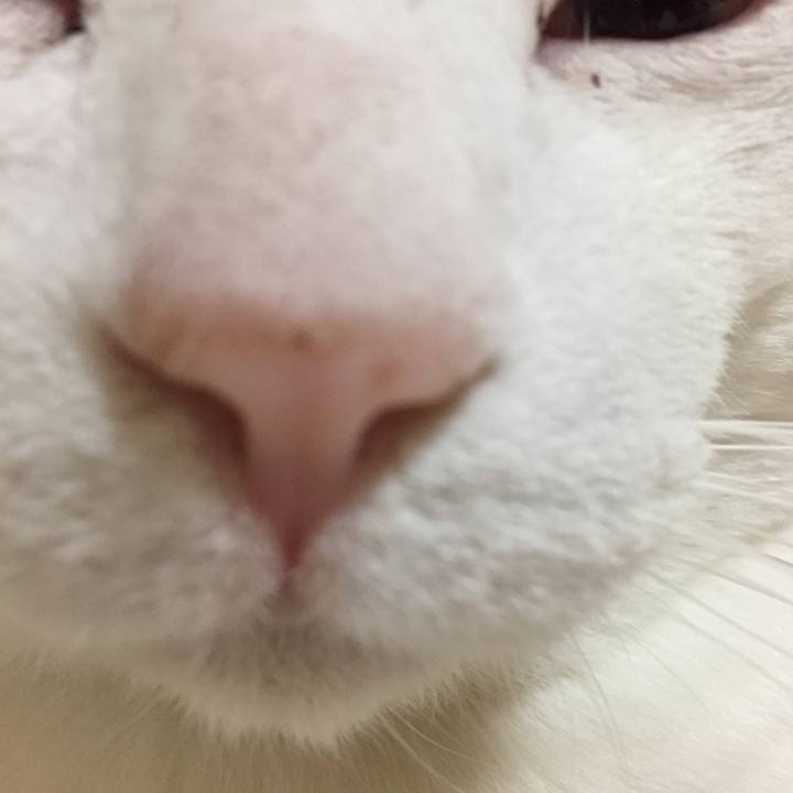 F8353721 992b 468c 9efd fe2646205bcc 1523546974023