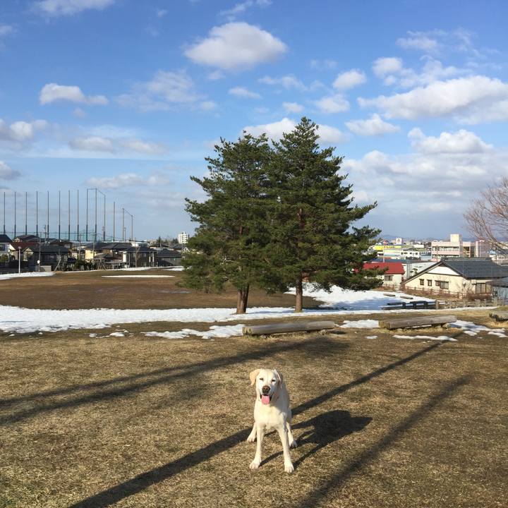 F8356923 13c5 4beb a80e 9a213555d9ac 1521529903718