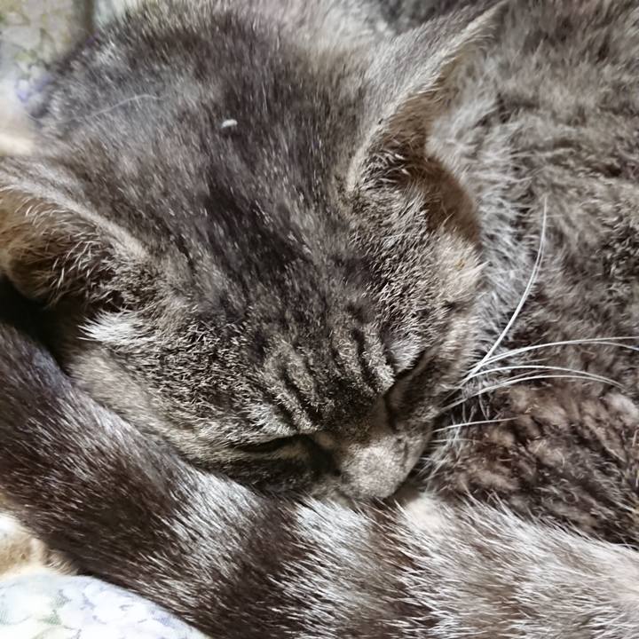 F8357408 a5c9 4179 96e2 d78a549e2d5d 1580131212202