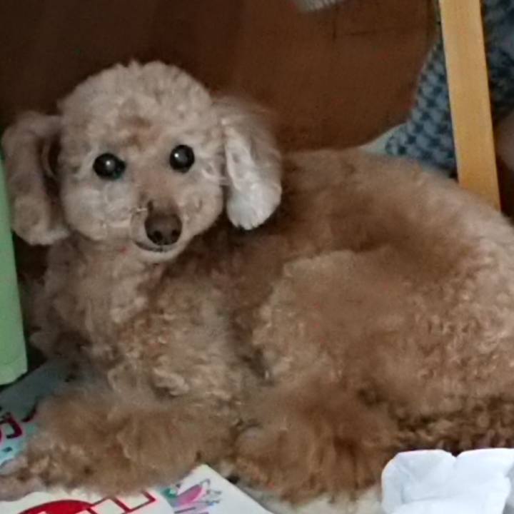 F835e572 a191 41ee 9eb9 240d5d60de00 1621856574192